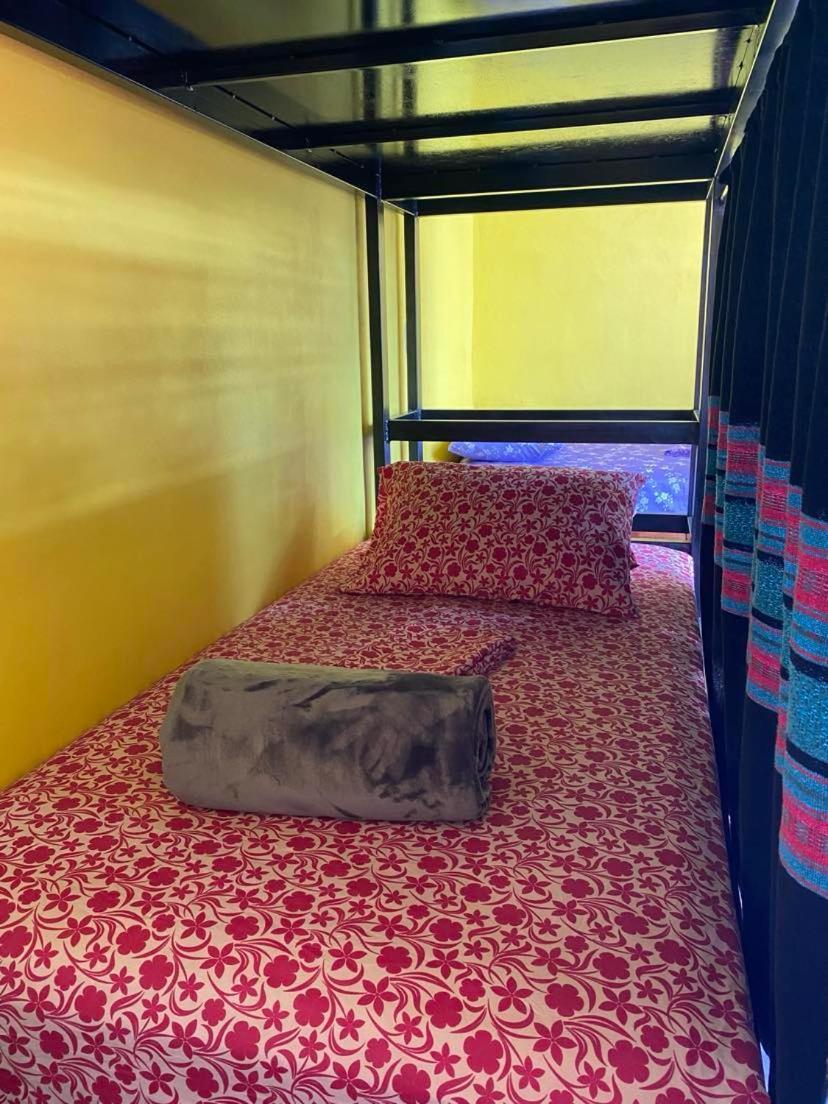 Hierve El Agua Eco Hostel - Confetti Pool Club San Pablo Villa de Mitla エクステリア 写真